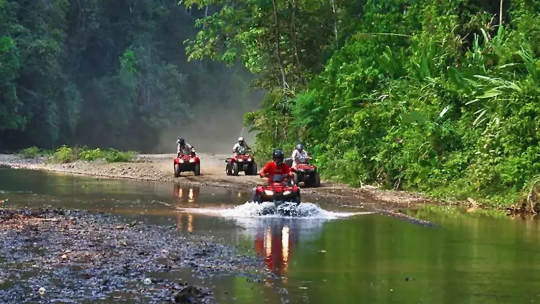 Great fun - racing ATVs through the forest or along the beach Great fun - racing ATVs through the forest or along the beach