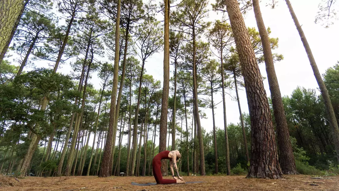 Yogalehrerin in Yogapose im Pinienwald