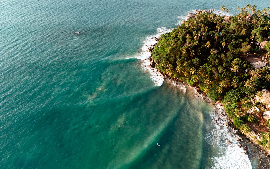 Am Reefbreak von Mirissa vor Palmenkulisse surfen