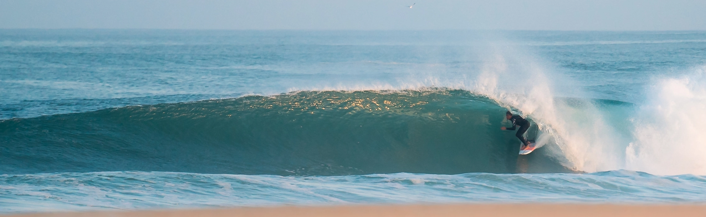 den pro's beim Surfen zuschauen