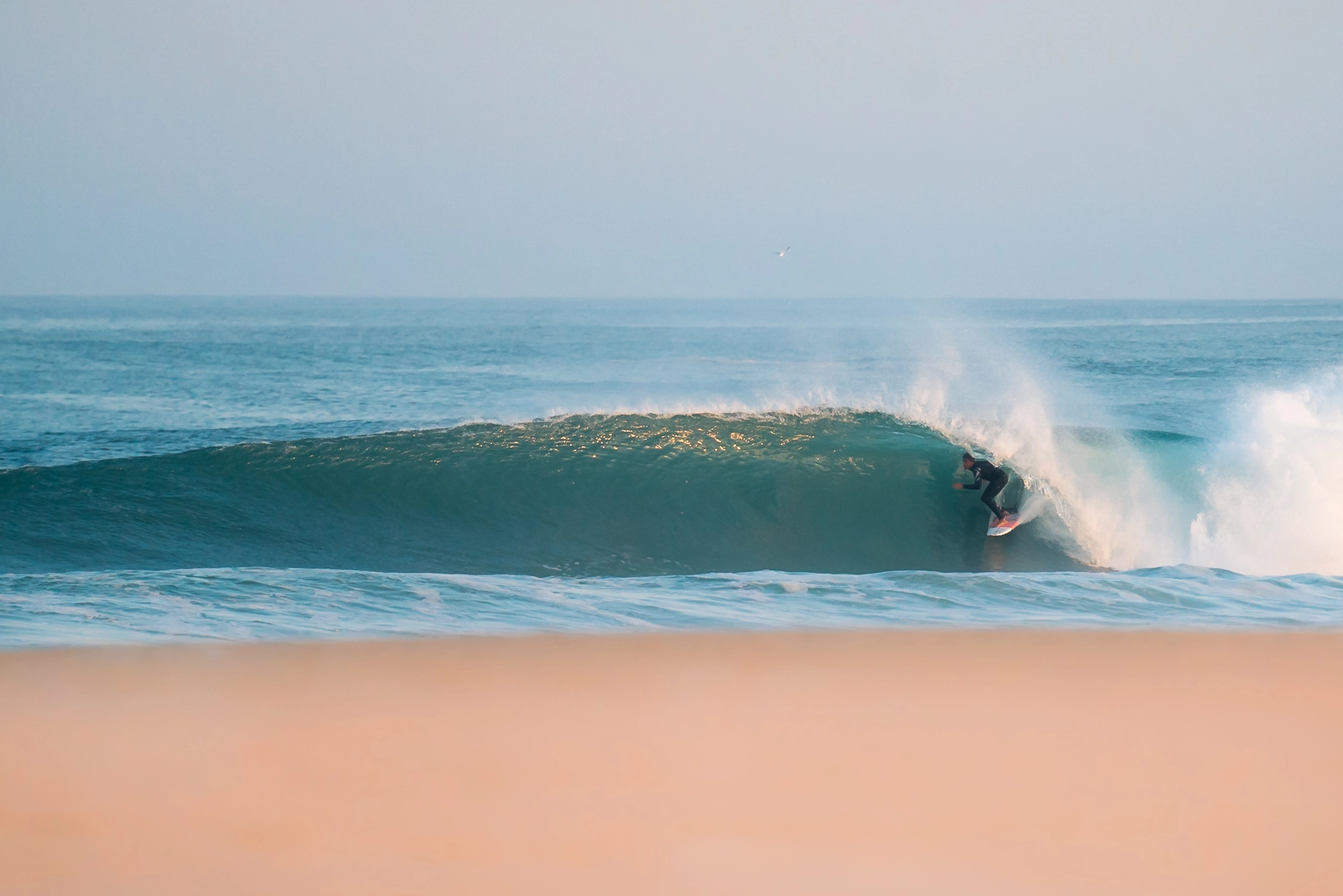 den pro's beim Surfen zuschauen