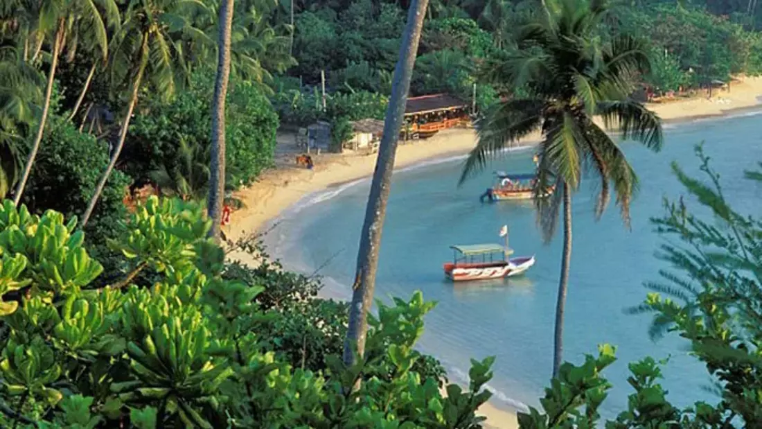 Surf and Yoga Sri Lanka Jungle Beach