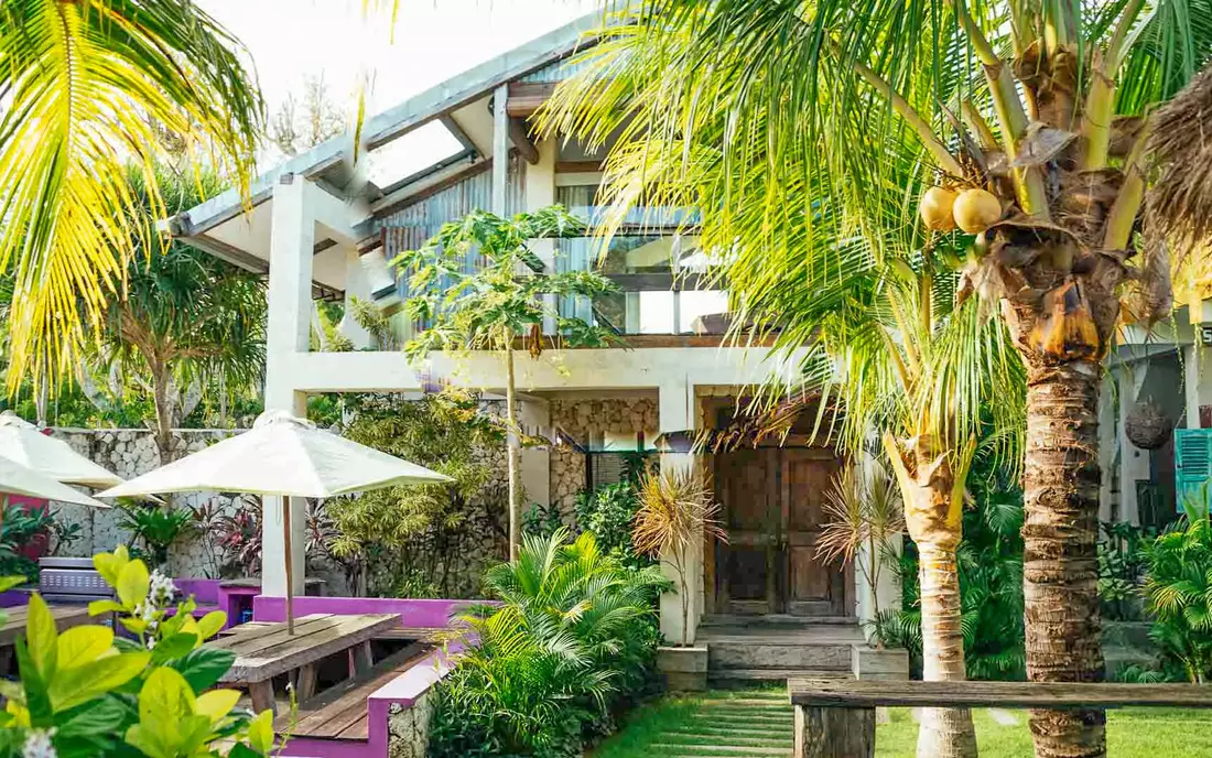 The garden with palm trees in front of the house