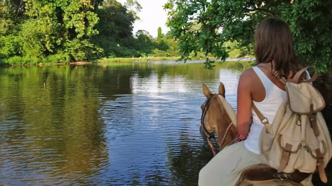 Discover nature on a horseback ride Discover nature on a horseback ride