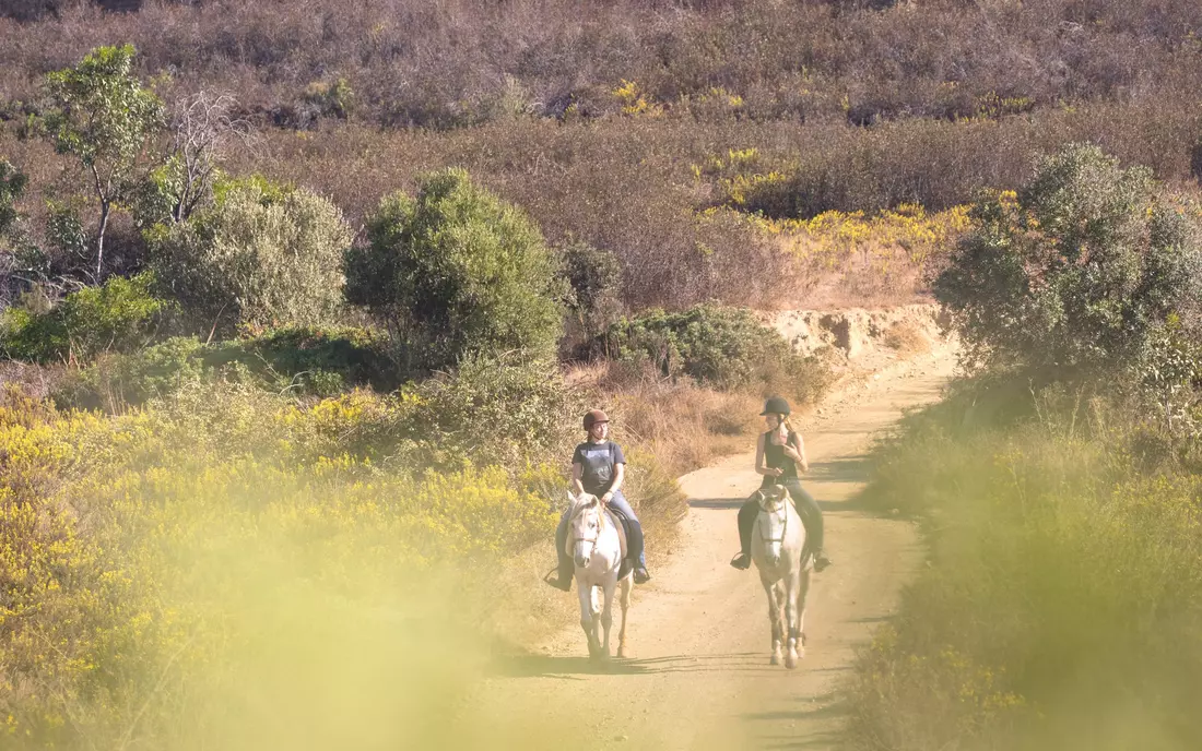 Pures Surfcamps surfen und reiten