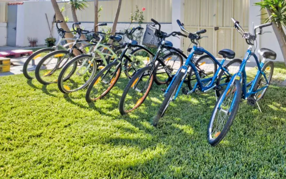 Explore the area with beach cruisers