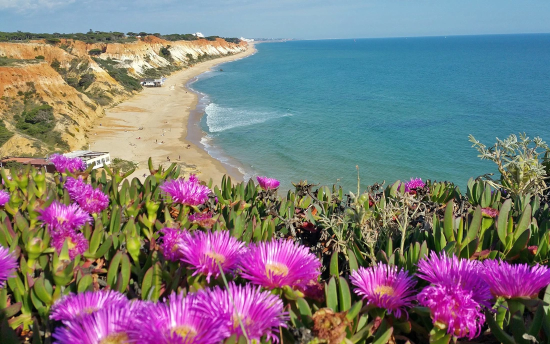 Pure Surf camps Portugal