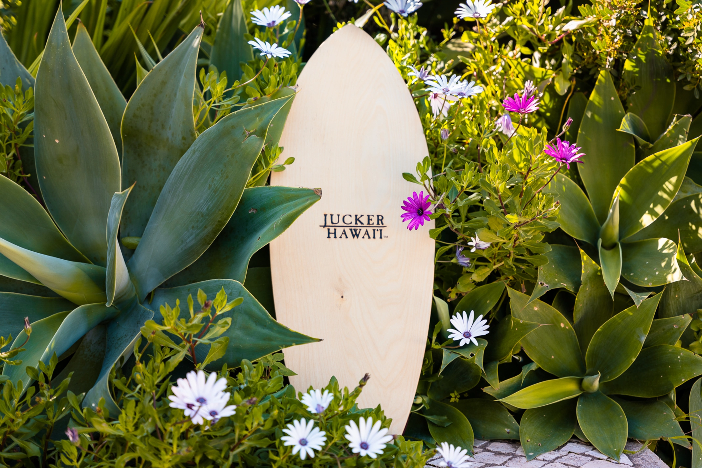 Balance Board aus Holz in Blumenbeet gelehnt