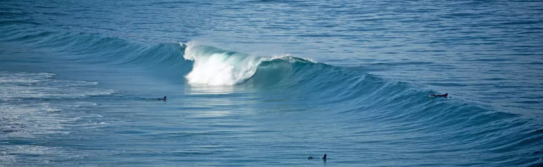 surfen an der algarve