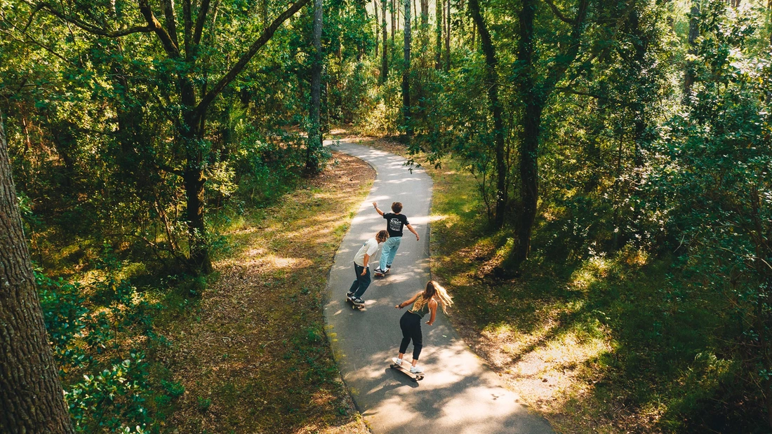 Longboarden Skaten Pinienwald Frankreich