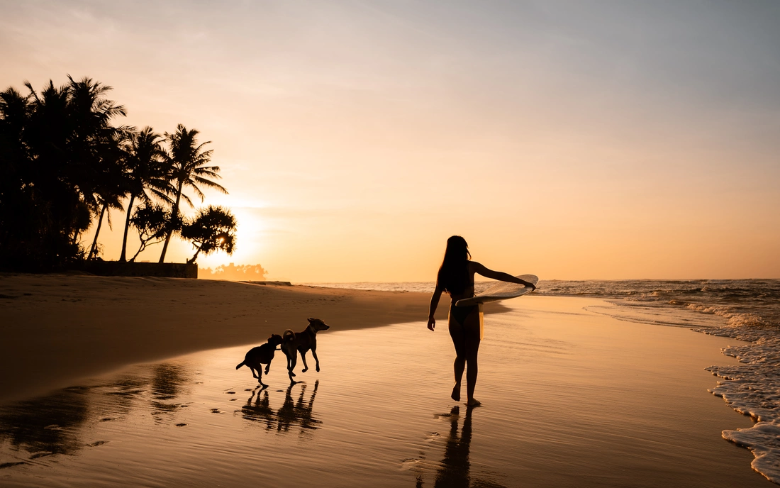 Beachfront Surfcamp Sri Lanka Guiding Sunset surf vorm Haus 