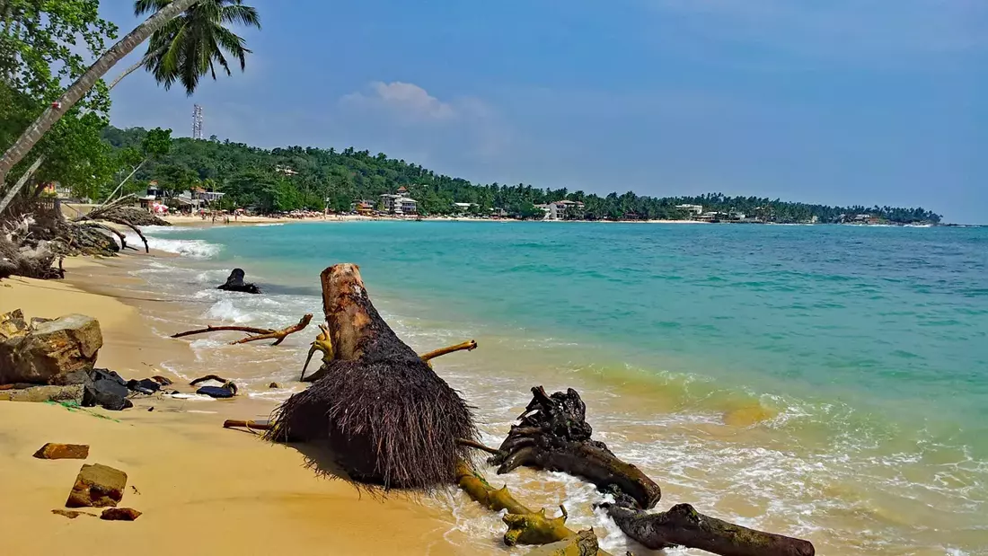 Surf and Yoga Sri Lanka Unawatuna