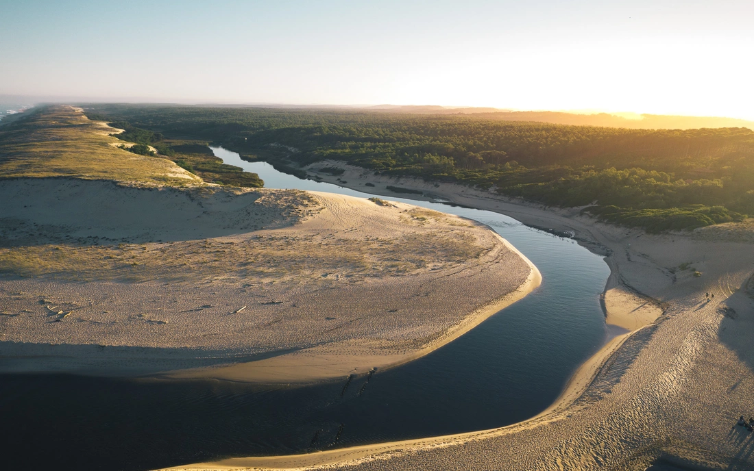 puresurfcamps-frankreich-surfschule-strand-pinien-wald-natur-fluss-moliets