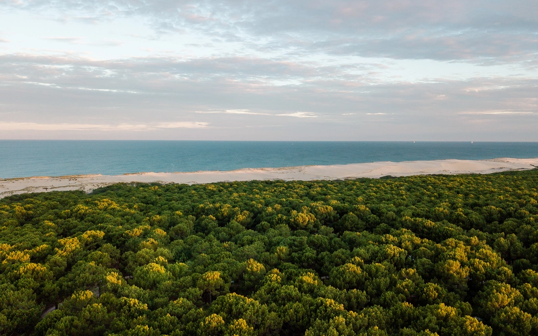 Frankreich Familien Surfcamp Biscarrosse Camping direkt am Strand