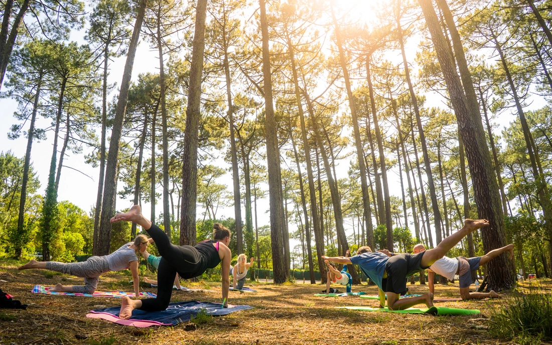 Yoga im Pinienwald