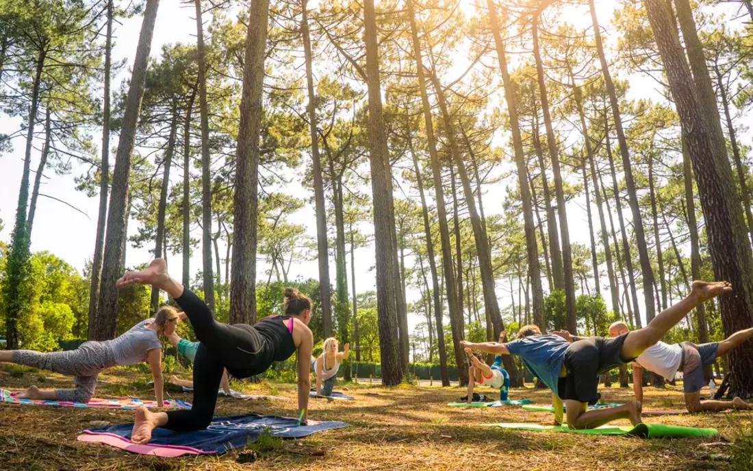 yoga im Pinienwald