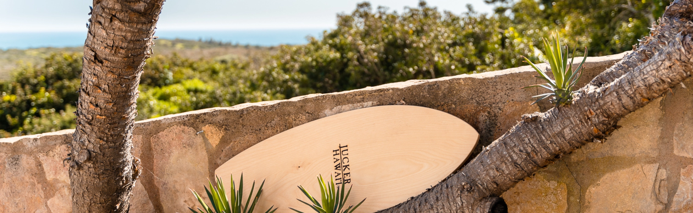 Balance Board aus Holz an Ast vor Mauer gelehnt