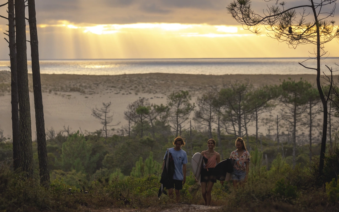 puresurfcamps-frankreich-surfschule-meer-surfen-surfer-pinien-wald-sonenuntergang-moliets