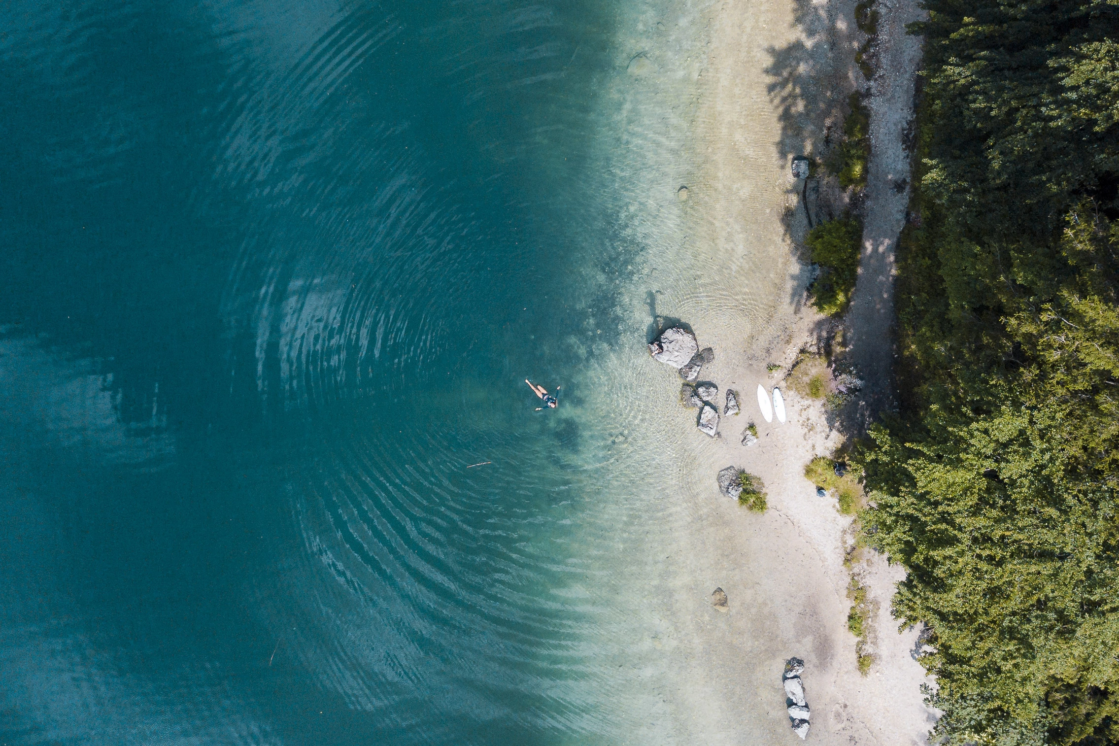 Strand mit Palmen von oben