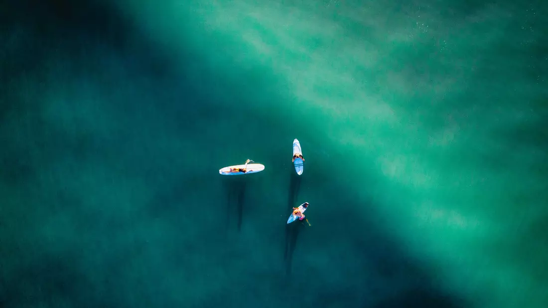 Experience the fascination of surfing