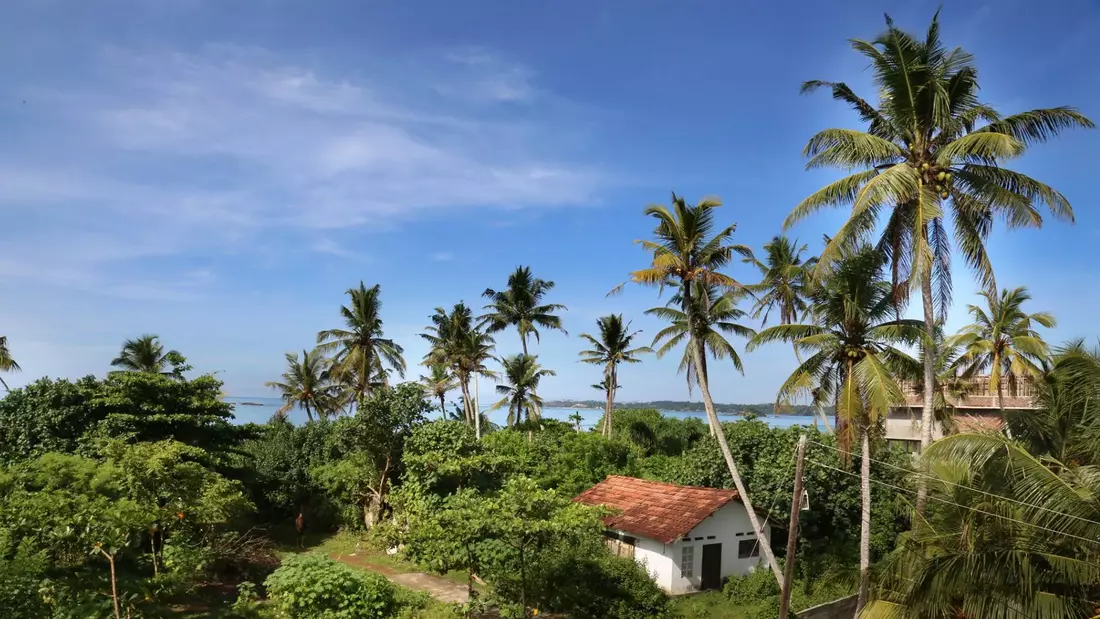 surrounds of surf house sri lanka