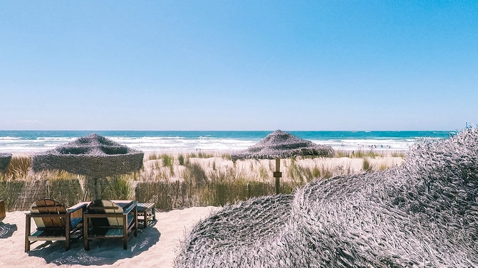 Strandbar in Portugal bester Surfurlaub wartet auf Euch