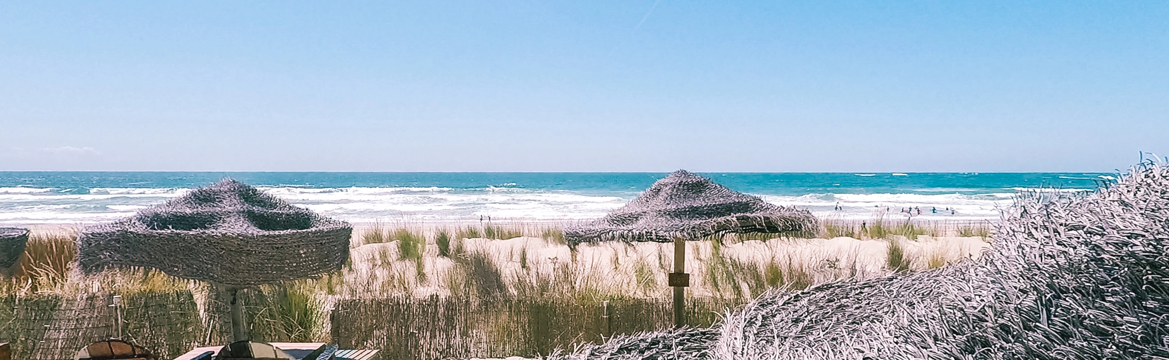 Strandbar in Portugal bester Surfurlaub wartet auf Euch