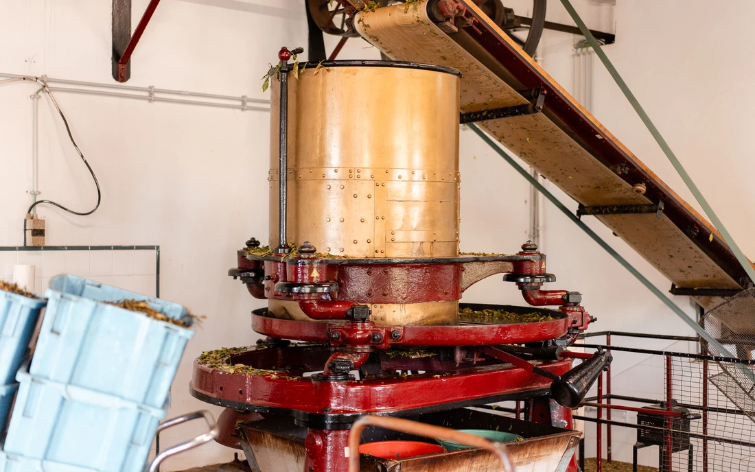 The oldest and currently only European tea plantation is located here on the island of Sao Miguel Chá Gorreana and is still in operation. You can visit plantations freely and marvel at the entire tea process from harvest to packaging.