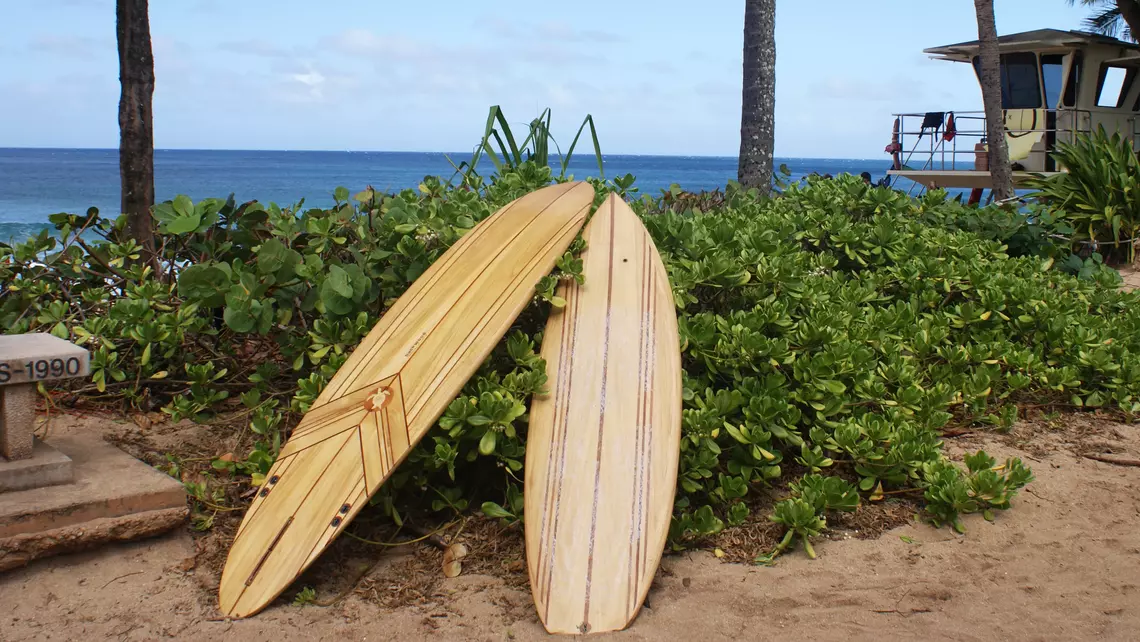 backwood surfboards