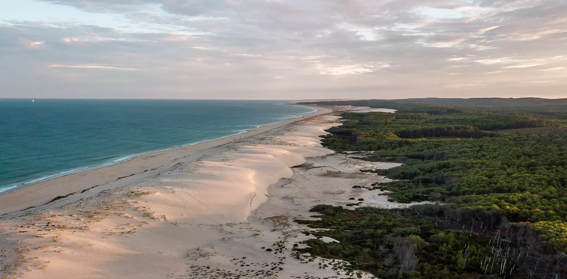 Frankreich Familien Surfcamp Biscarrosse Surfen lernen Küste Strand Atlantik