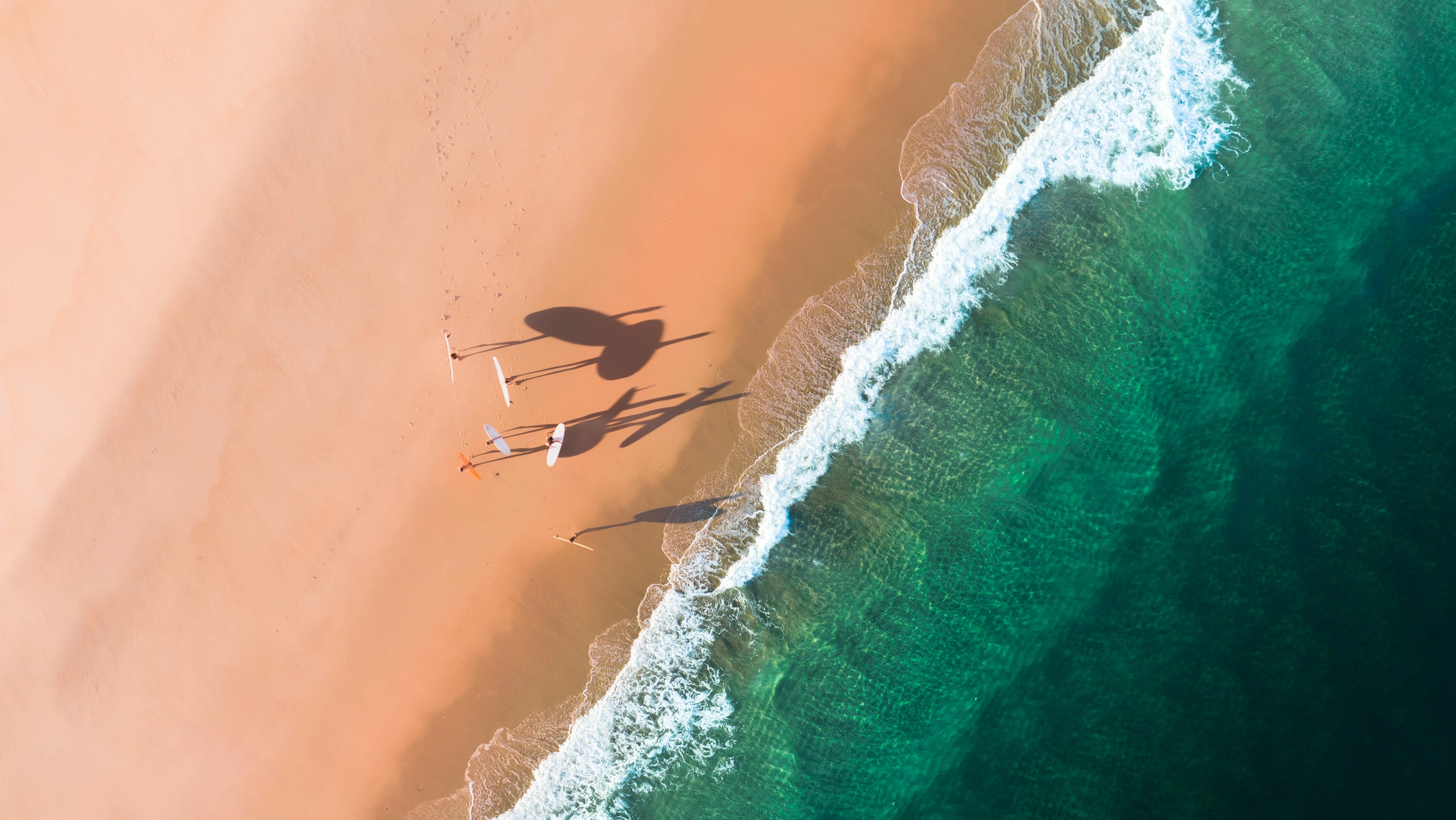 group on the beach