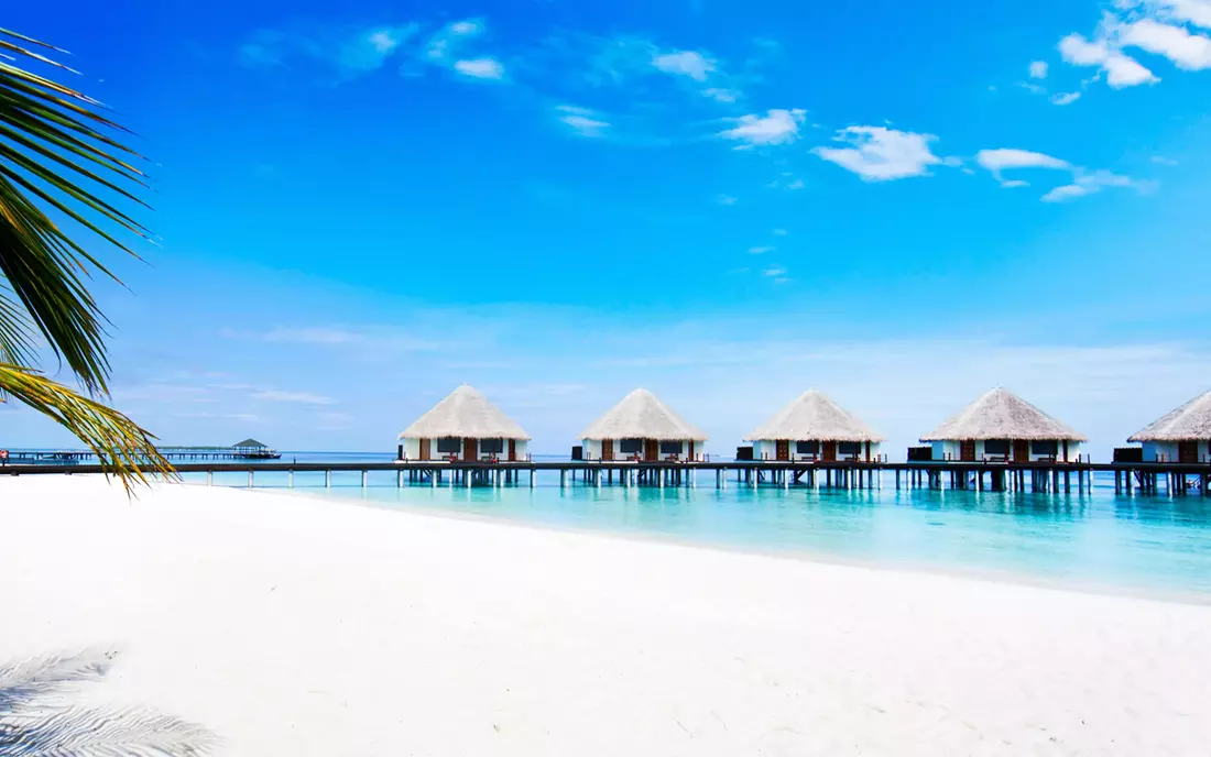 Surfing in the Maldives and relaxing in a luxury hotel