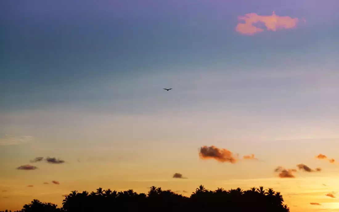 11 Surspots, an denen du deine Wunschwellen finden kannst