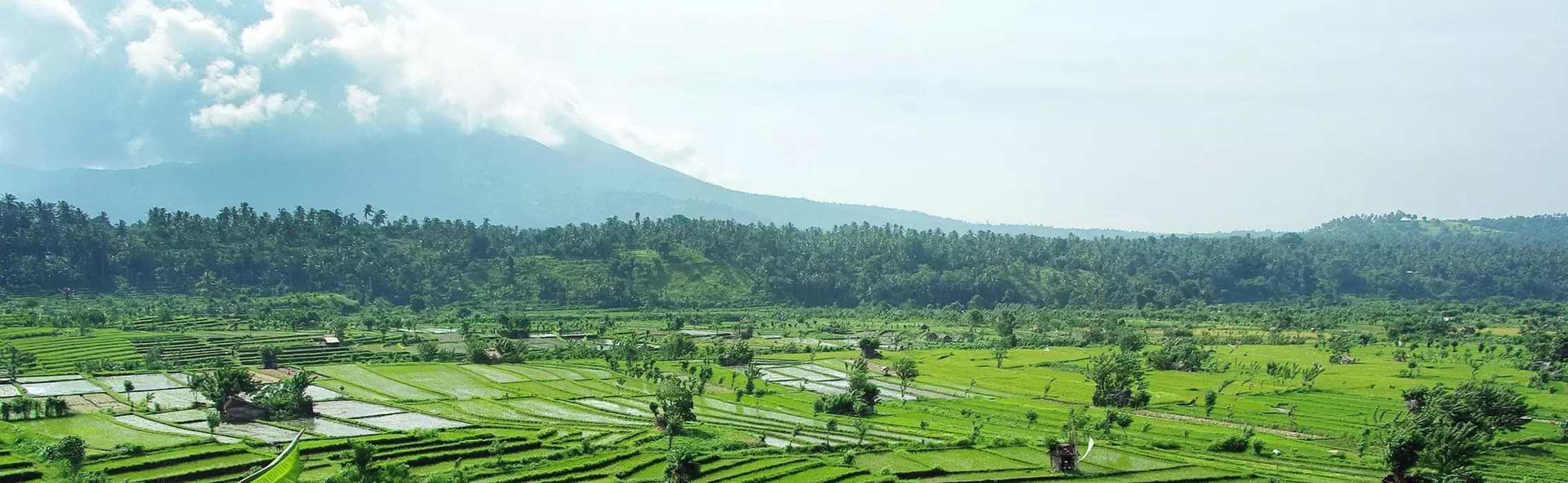 Puresurfcamps auf Bali