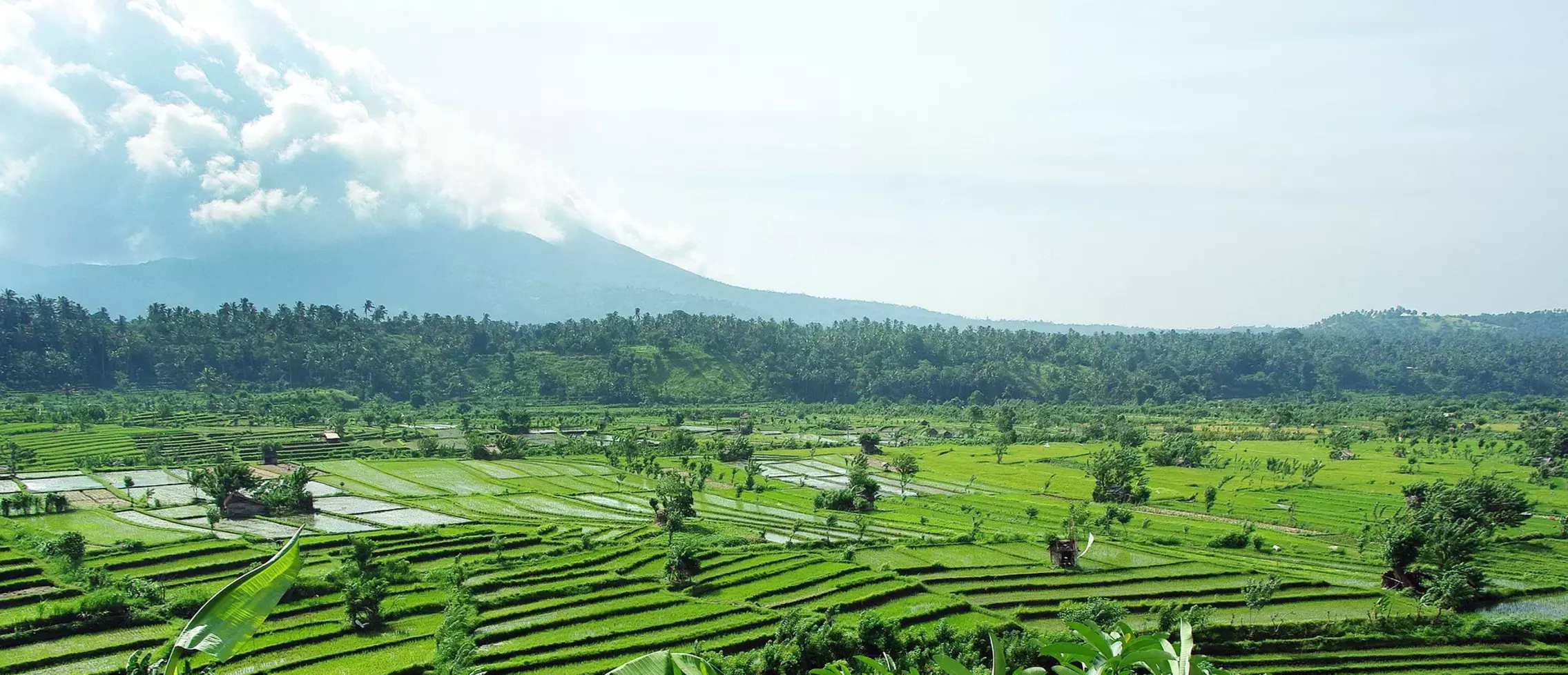 Puresurfcamps auf Bali