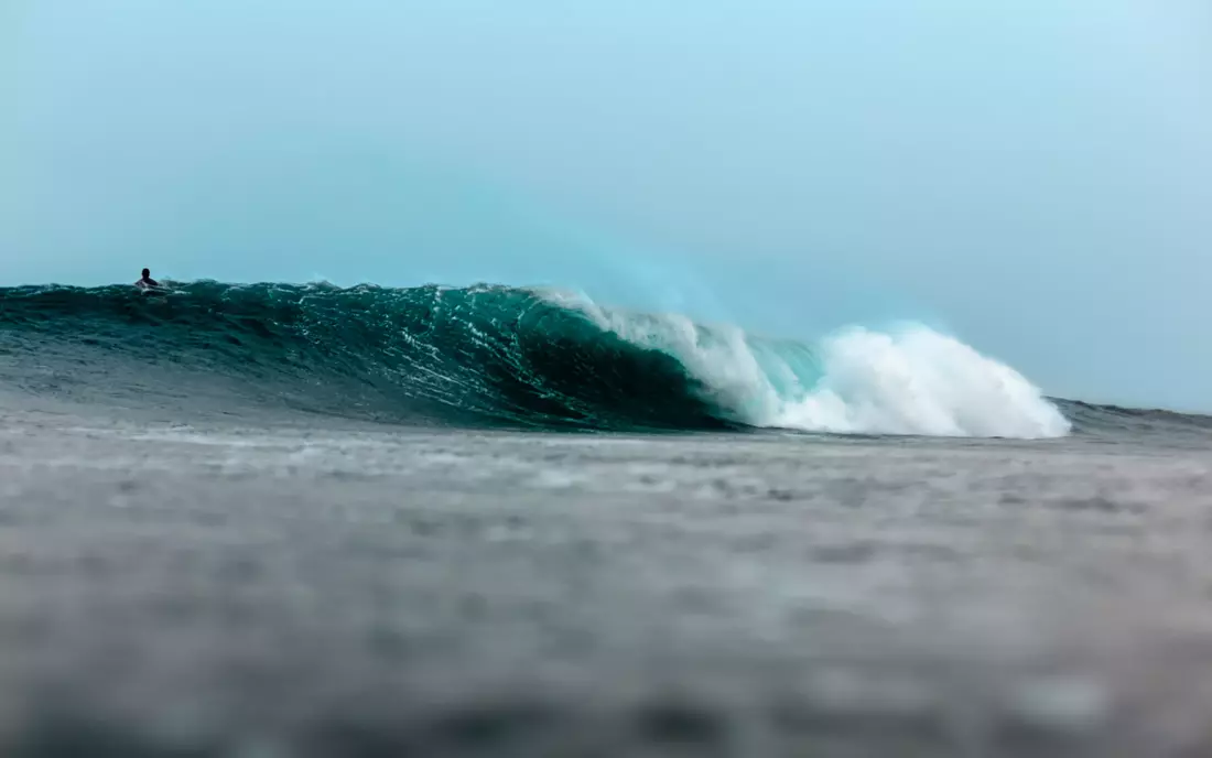 Our guides know the best waves for all conditions. 