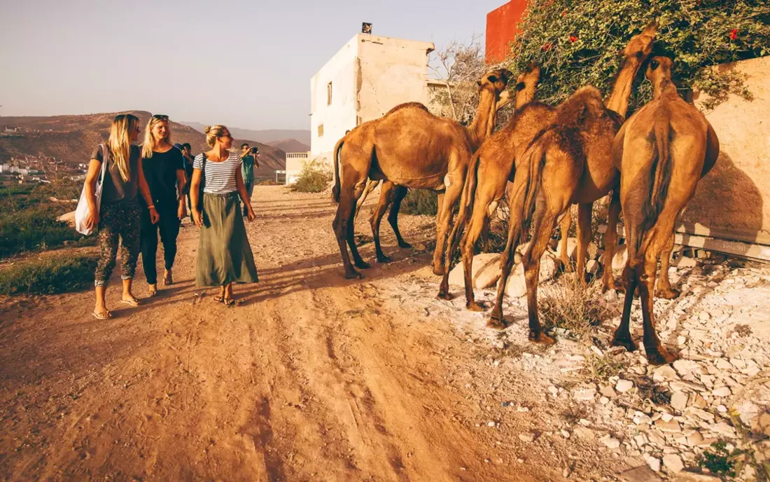 Puresurfcamps Morocco