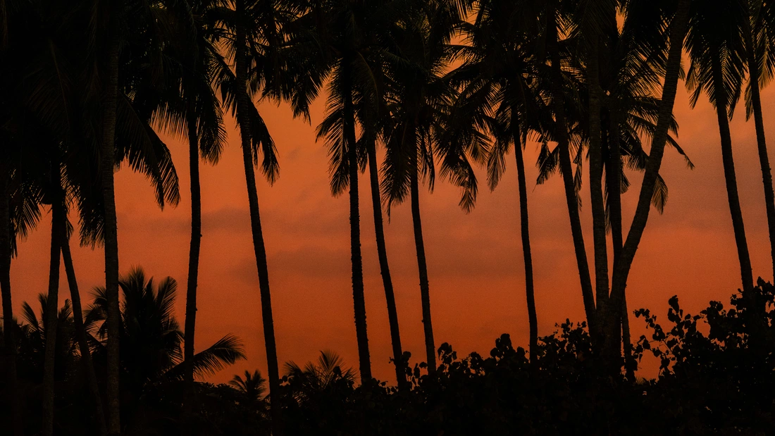 Beachfront Surfcamp Sri Lanka Kathaluwa Sonnenuntergang