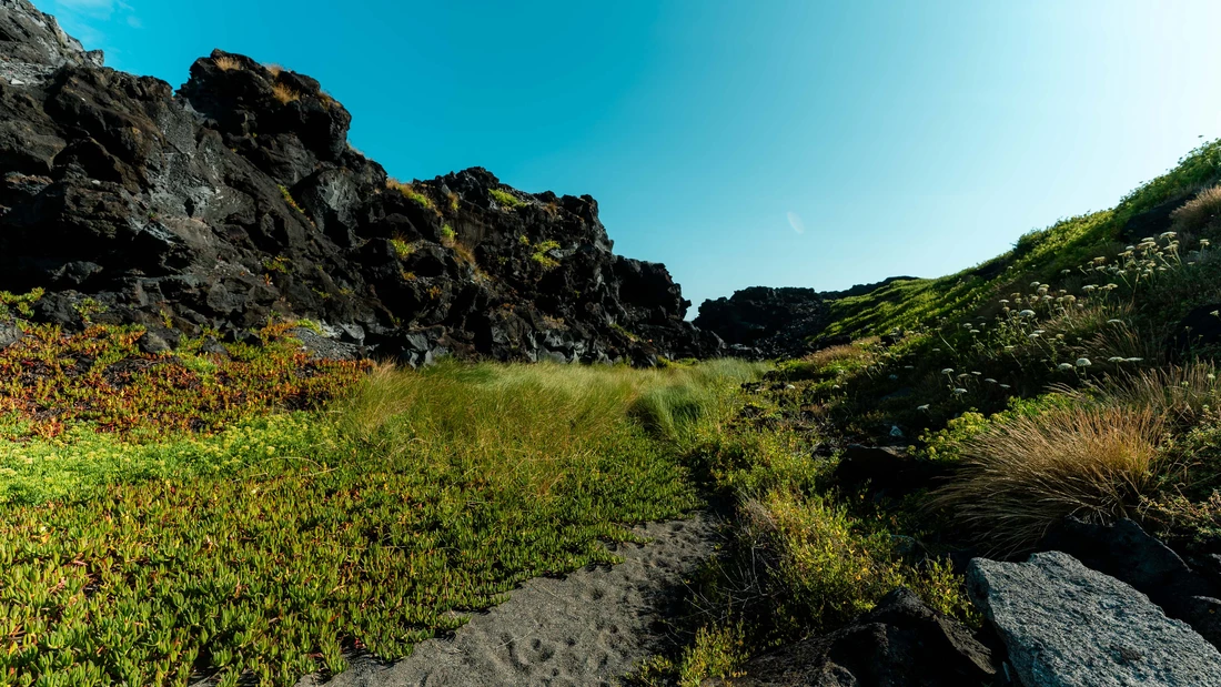 Explore with us the beautiful and overwhelming nature of the Azores. Relaxing hikes to the various hot springs and thermal baths such as Terra Nostra or Caldeira Velha, to viewpoints or to one of the island's waterfalls. Here you can admire nature to the fullest.