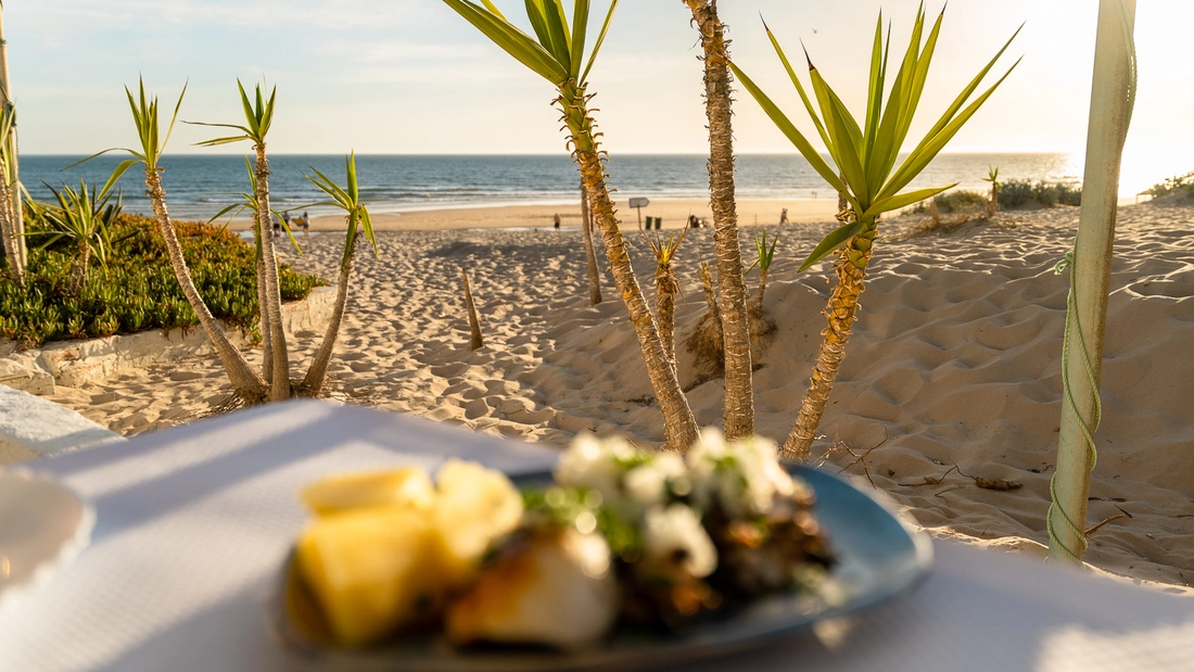 Enjoy fresh fish with a sea view...