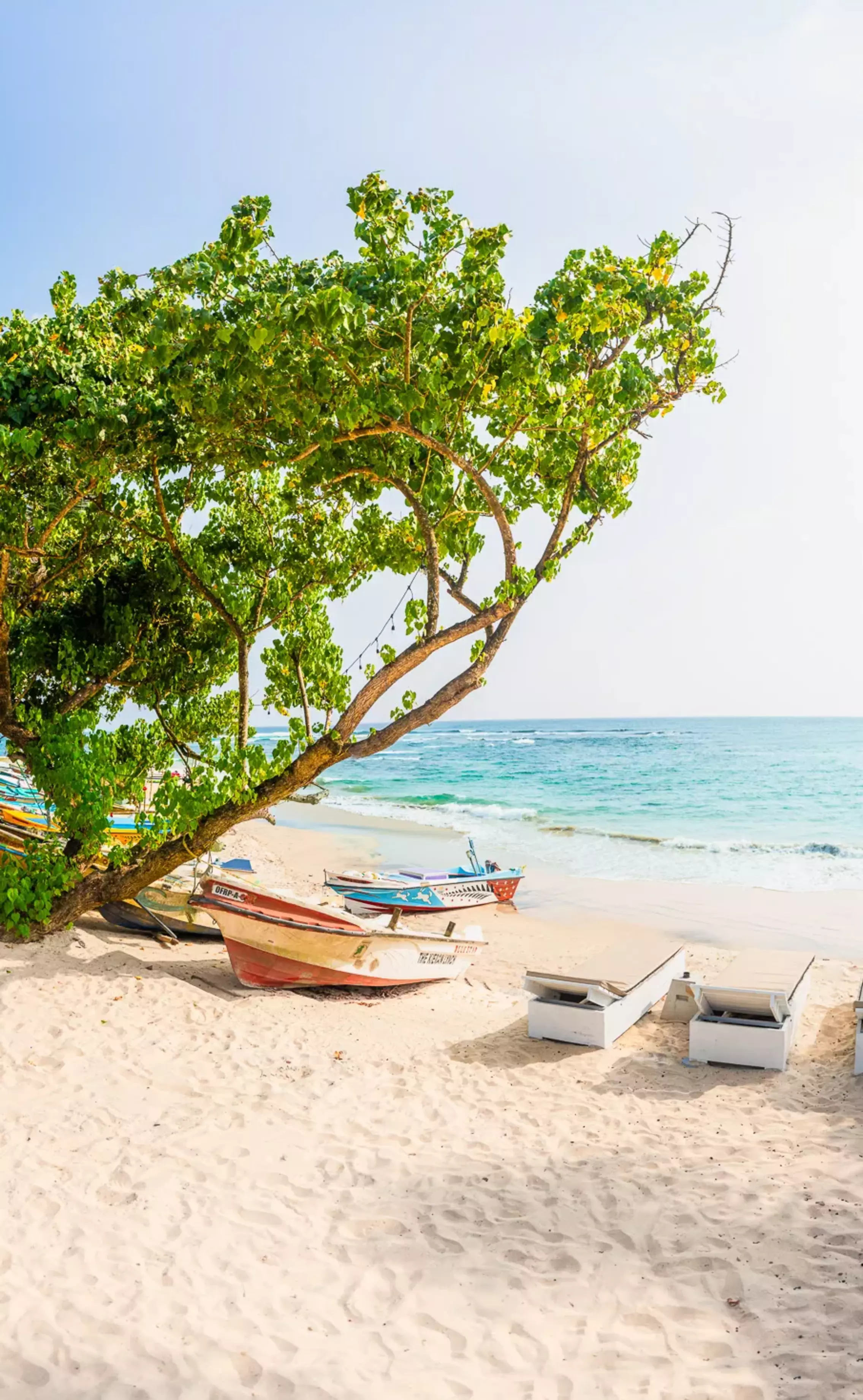 The beachfront surf camp Sri Lanka with a large garden, right on the beach, the sea and its own surf spot