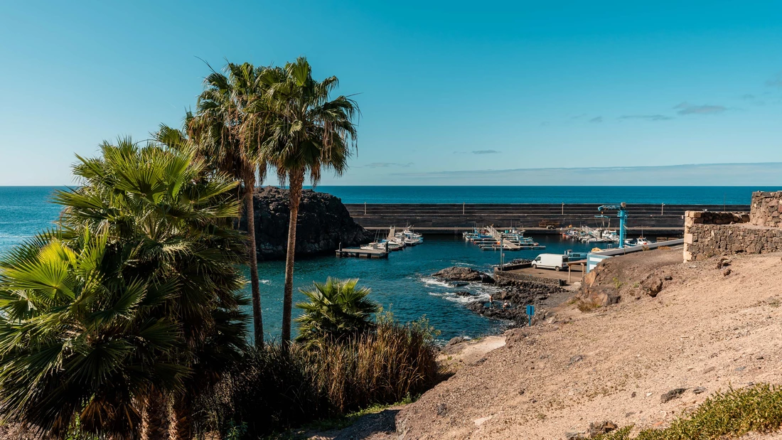 Palm trees right on the water.