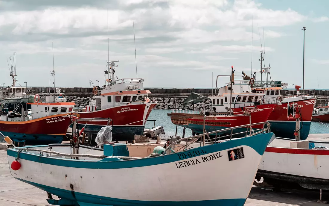 A walk through the fishing village and shopping freshly caught, our local tip