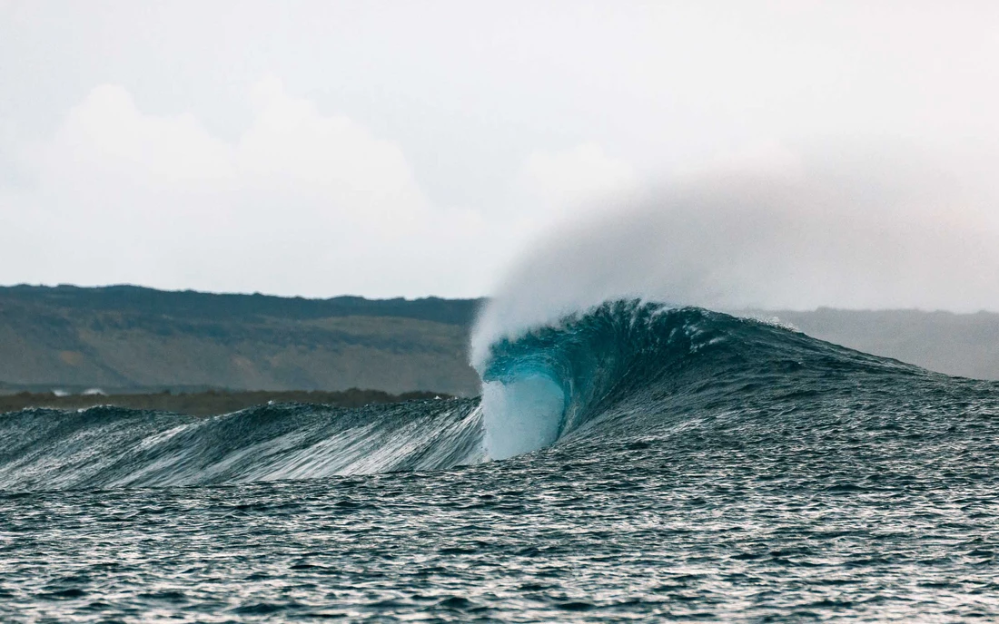 Surf Holiday Fuerteventura Catamaran Boat Trip