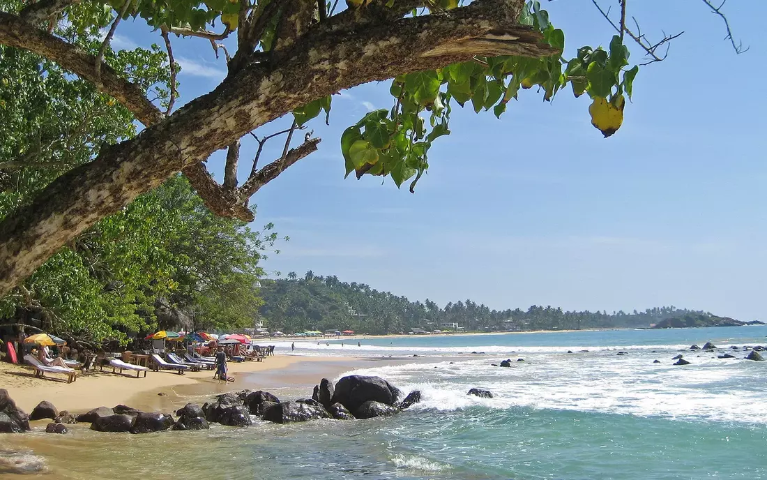 In Mirissa Surfen gehen und Cocktails trinken