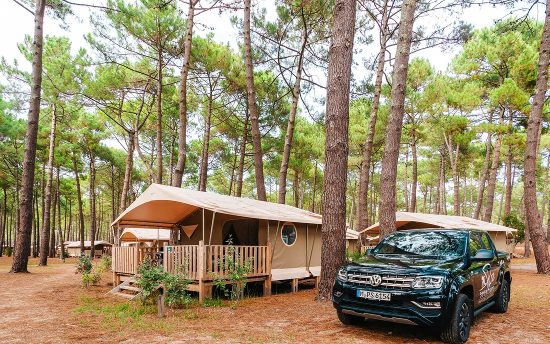 [Translate to English:] The cozy camping lodges are in the middle of the green pine forest