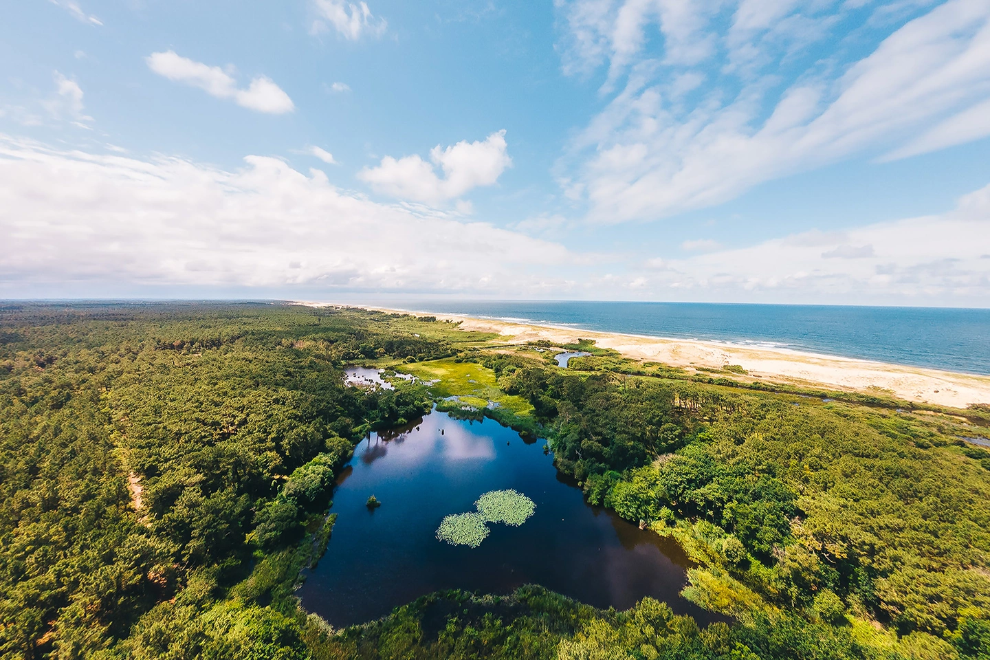 nachhaltigkeit meer strand wald see himmel