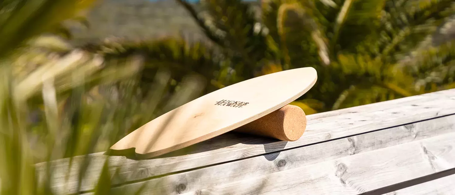 Balance Board aus Holz auf Kork Rolle vor Palmen