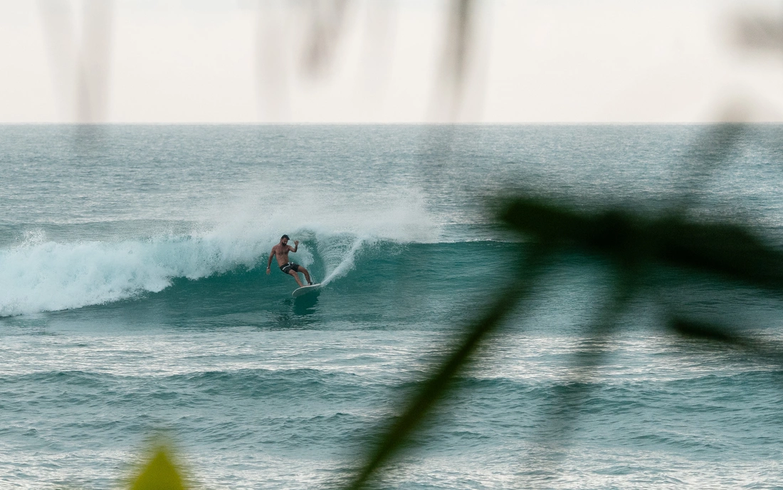 Beachfront Surfcamp Sri Lanka Guiding turn
