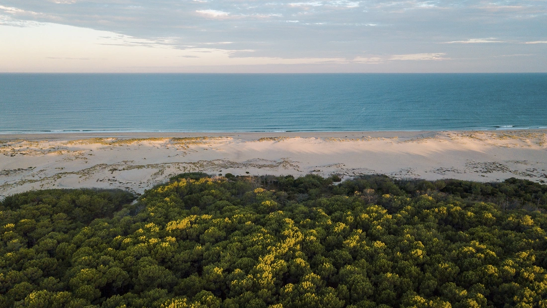 puresurfcamps-frankreich-surfschule-wald-pinien-meer-strand-surfkurs-st.-girons-plage-jugend-reise-drone